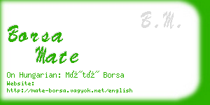borsa mate business card